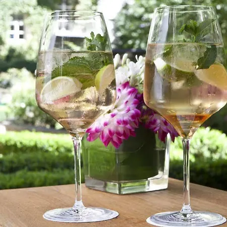 Maximilian & Szálloda